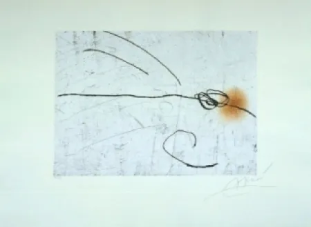 Etching And Aquatint Miró - Lapidari, Aquilinus