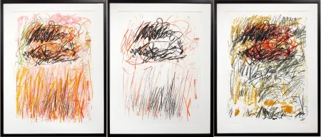 Lithograph Mitchell - Flowers I-III from Bedford Series