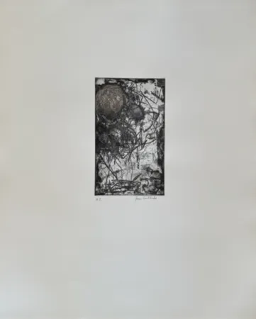 Etching And Aquatint Mitchell - Sunflower I