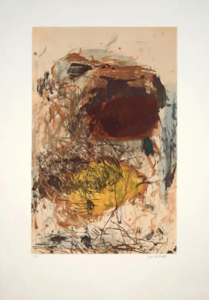 Etching And Aquatint Mitchell - Sunflower III