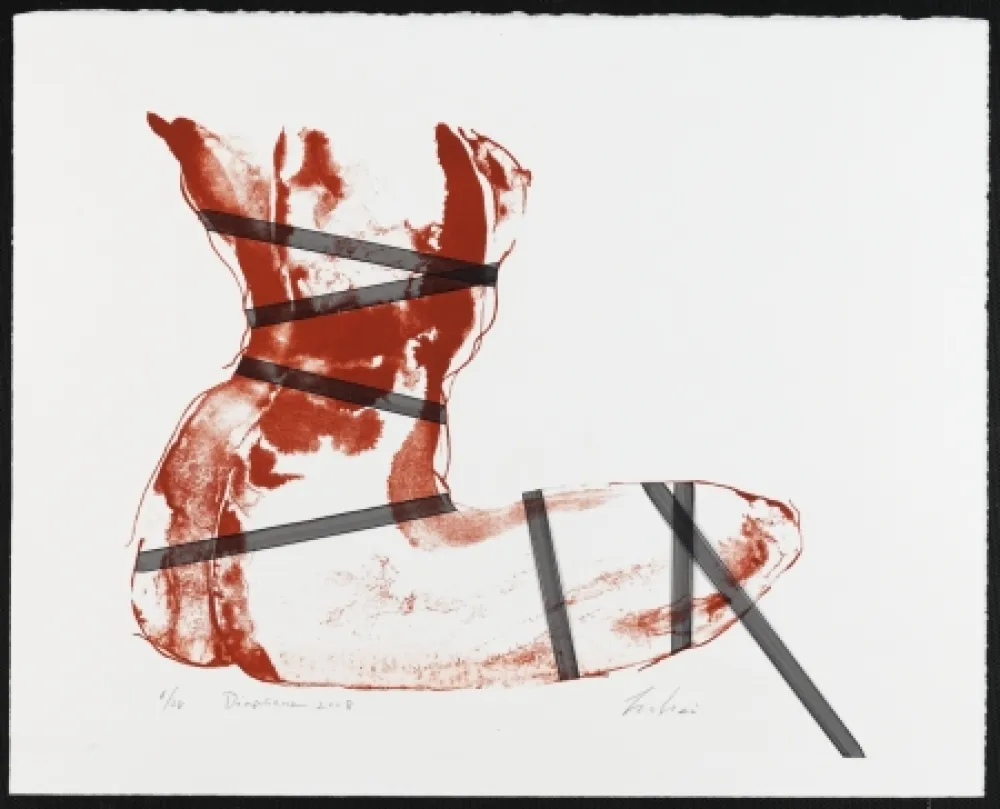 Lithograph Mizutani - Diaphane