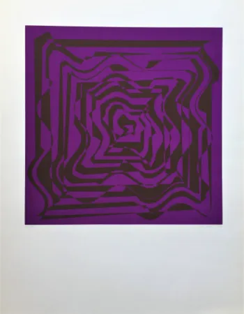 Screenprint Molnar - Hyper transformation