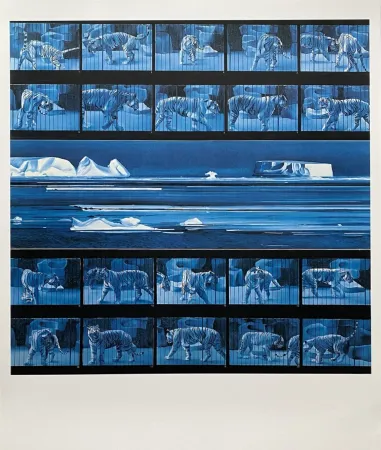 Poster Monory - Dream tiger No 4