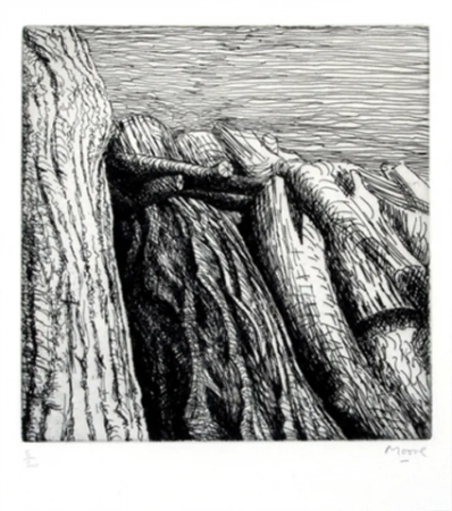 Etching Moore - Log pile III