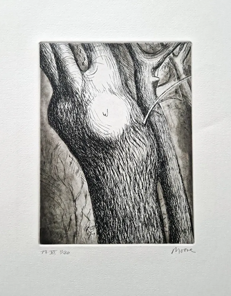 Etching And Aquatint Moore - Trees VI dead ash