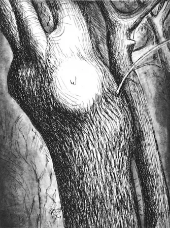 Etching And Aquatint Moore - Trees VI dead ash