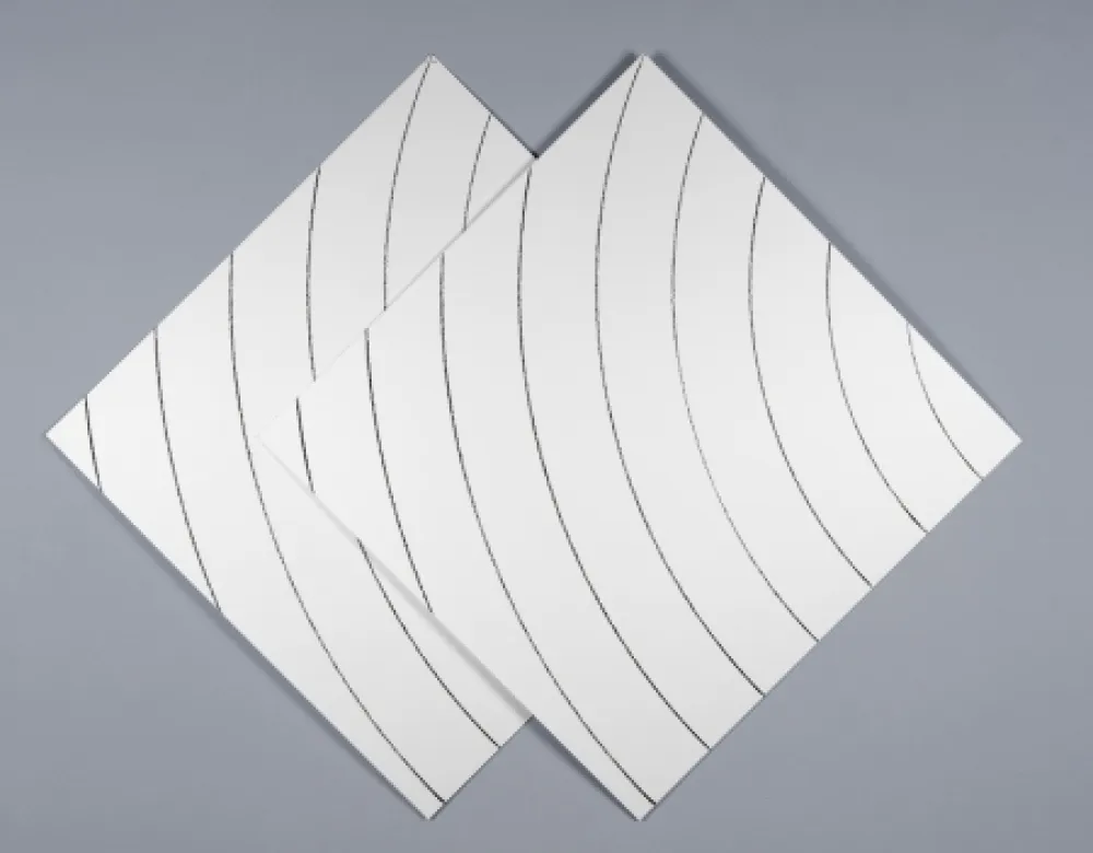 Screenprint Morellet - Ondes parasites 1