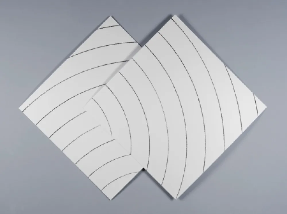 Screenprint Morellet - Ondes parasites 2