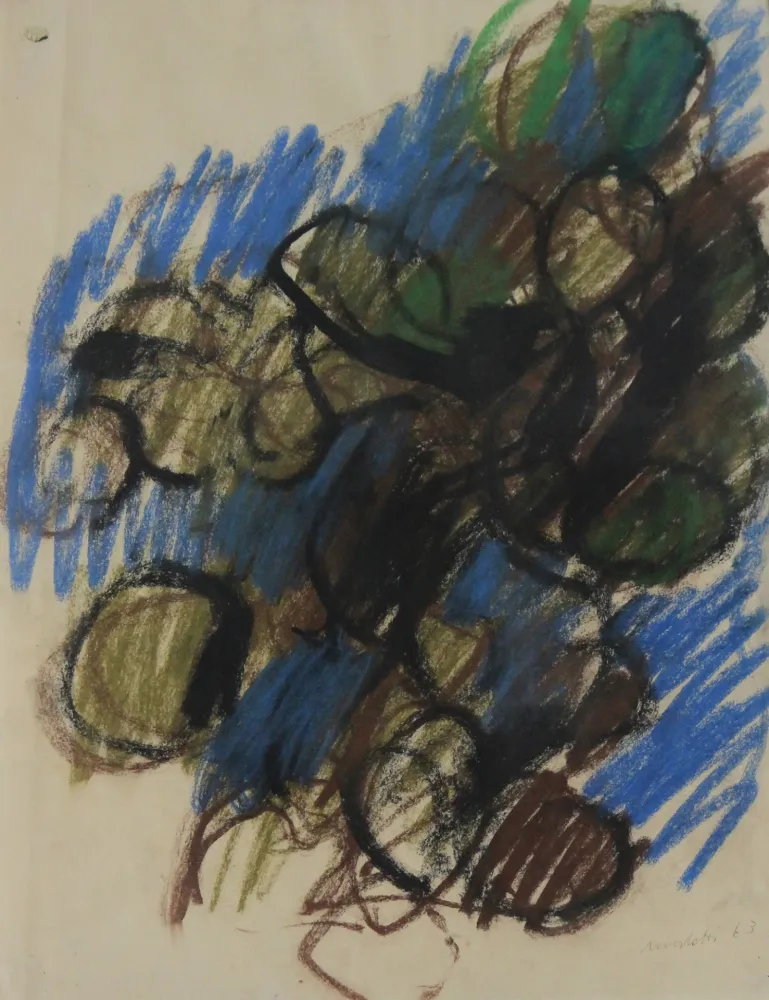 No Technical Morlotti - FICHI D'INDIA