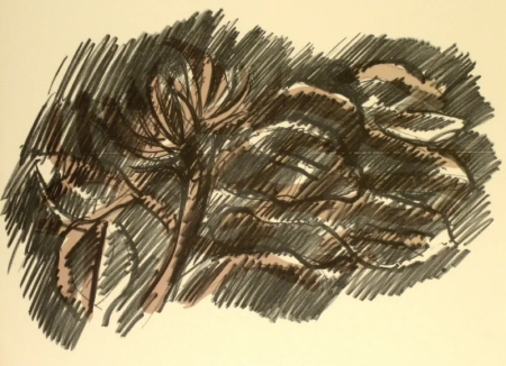 Lithograph Morlotti - Vegetali