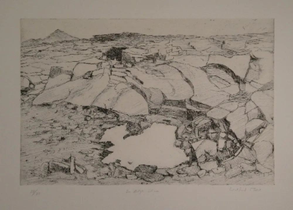 Etching Moser - Der letzte Schnee