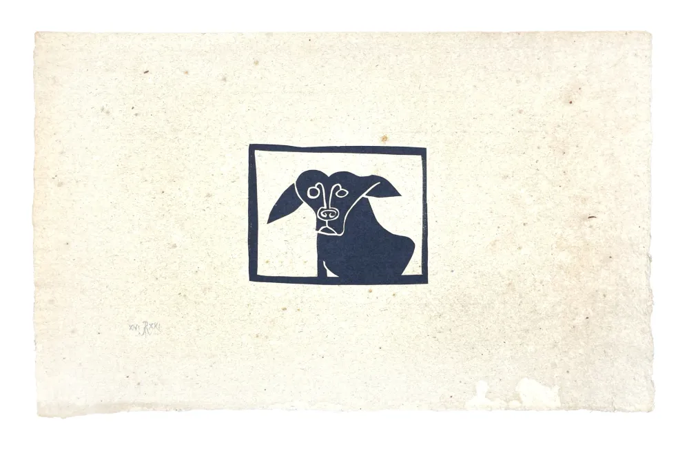 No Technical Müller - SKILIA II