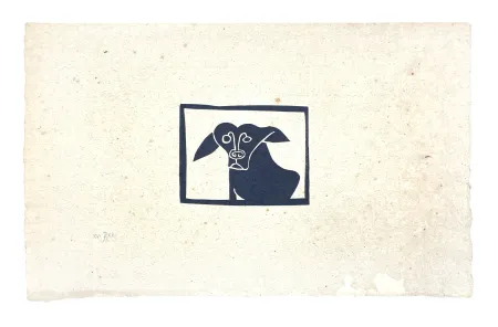 No Technical Müller - SKILIA II