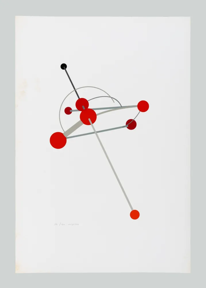 Screenprint Munari - Macchina aerea