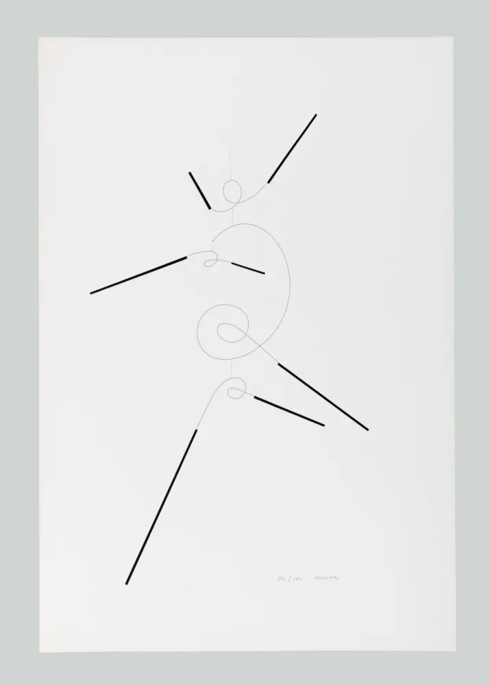 Screenprint Munari - Macchina inutile