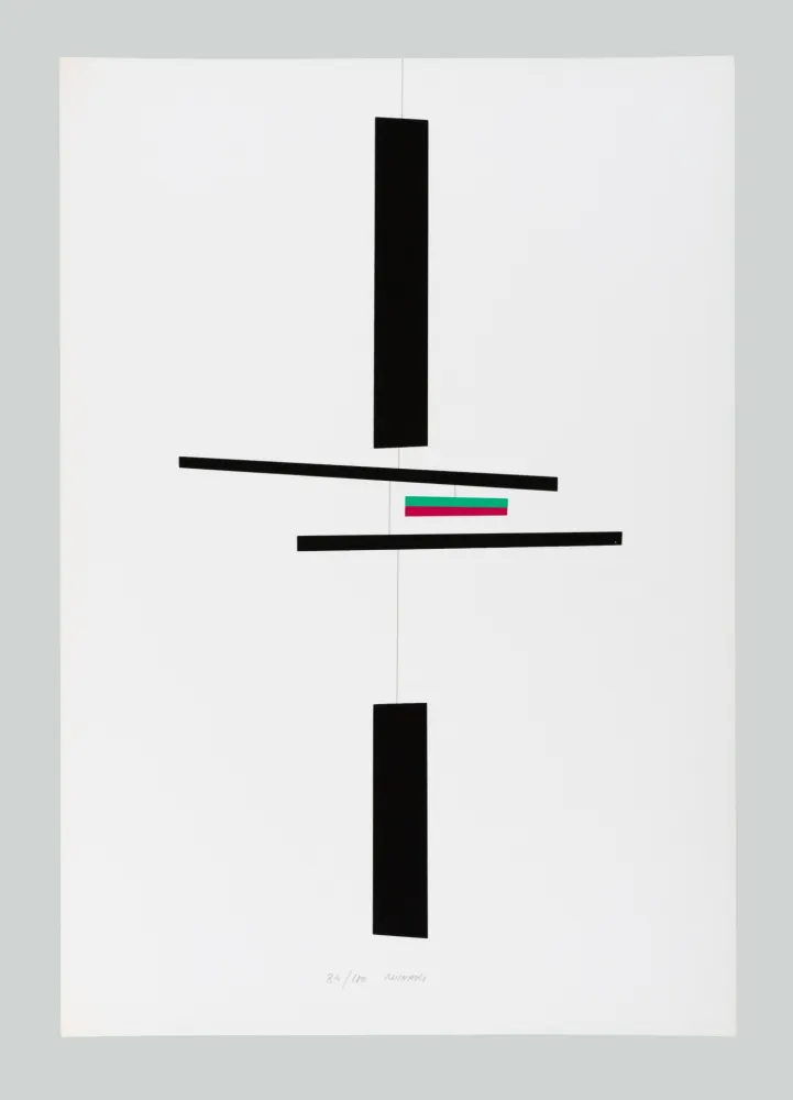 Screenprint Munari - Macchina inutile