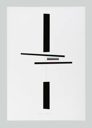 Screenprint Munari - Macchina inutile