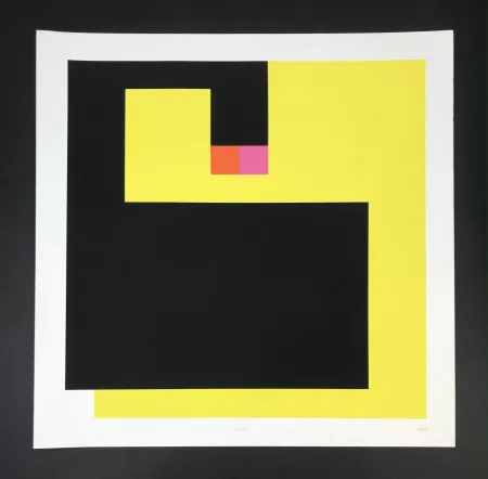 Screenprint Munari - Negativo positivo