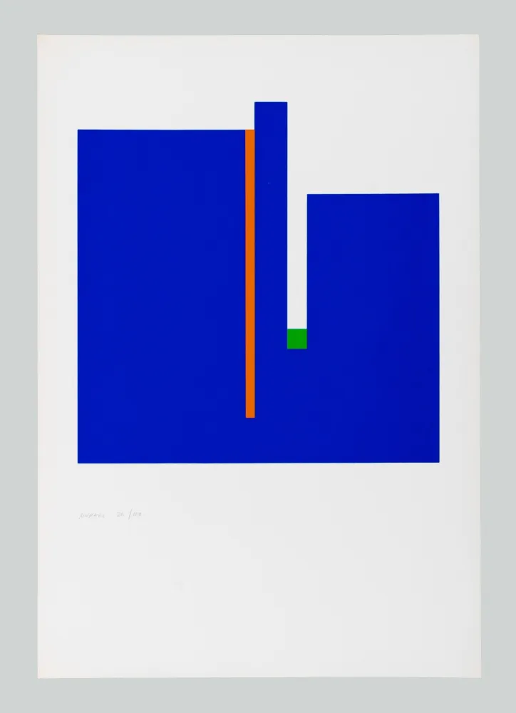 Screenprint Munari - Negativo positivo