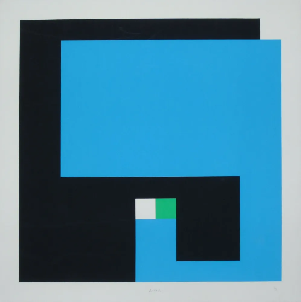 Screenprint Munari - Positivo Negativo