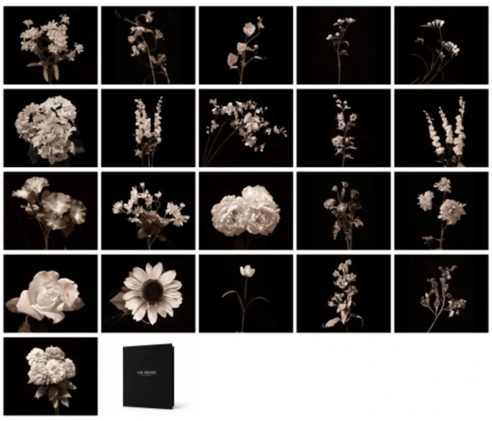 Photography Muniz - Flora Industrialis B/N
