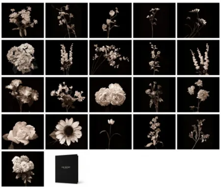 Photography Muniz - Flora Industrialis B/N
