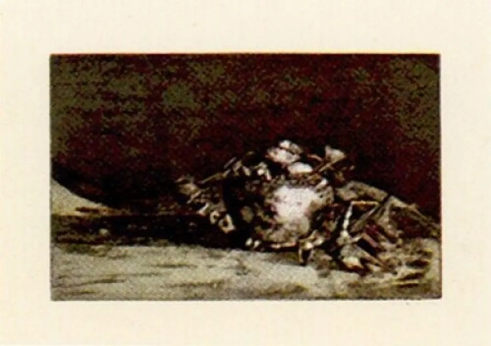 Etching Muñoz - LLM-4