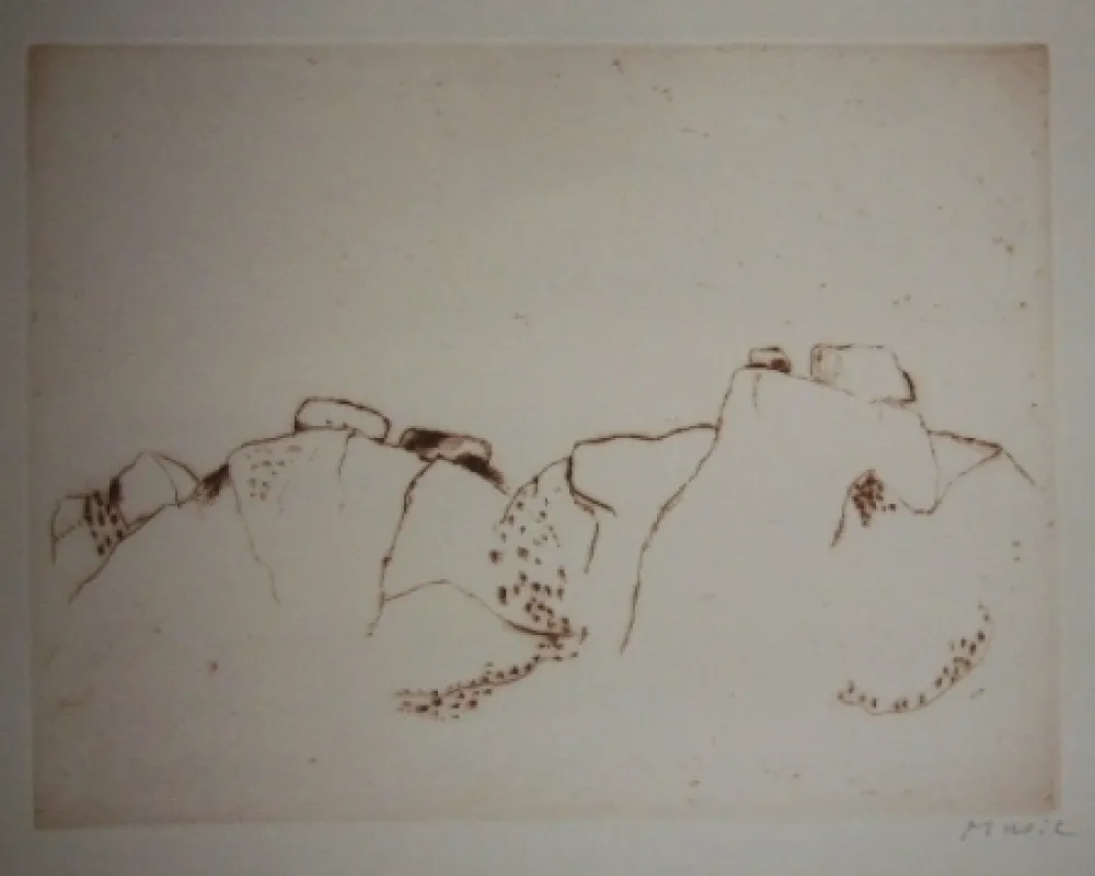 Etching And Aquatint Music - Jardins