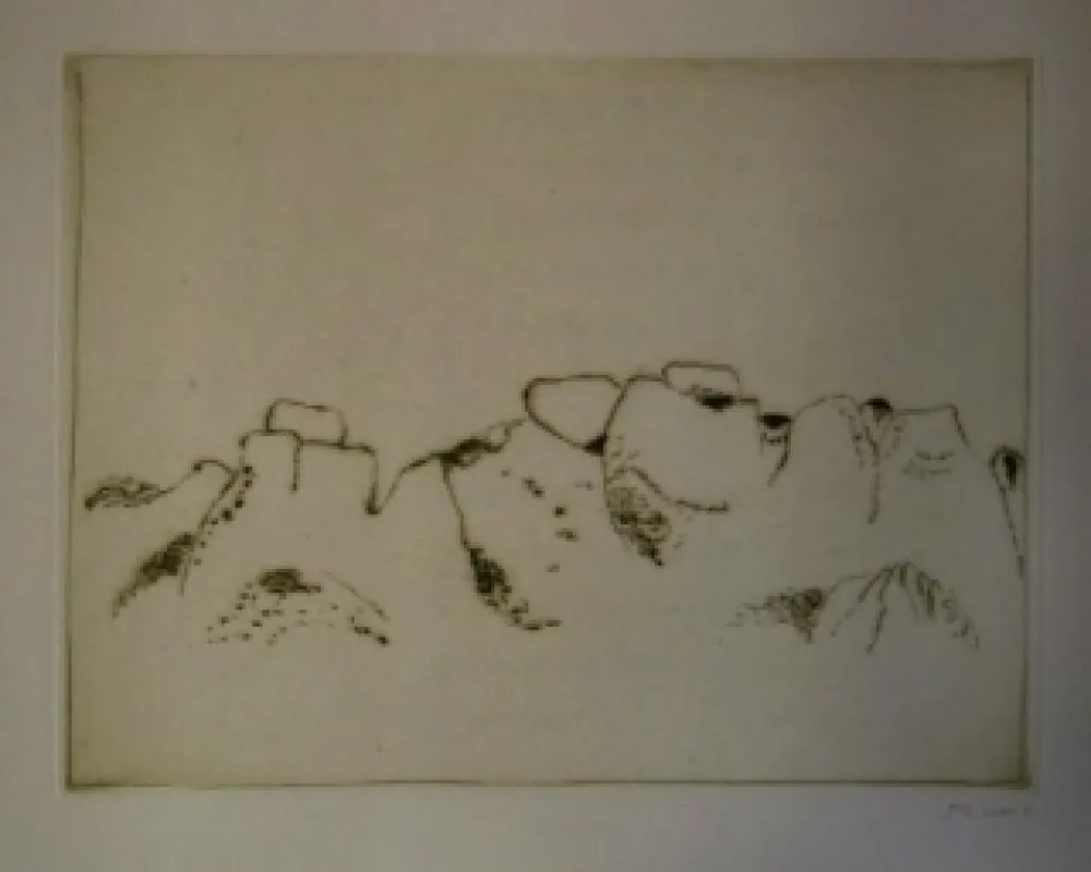 Illustrated Book Music - Jardins déserts peut-être