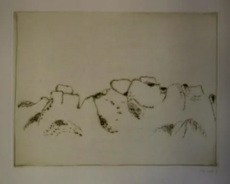 Illustrated Book Music - Jardins déserts peut-être