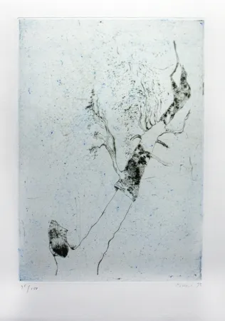 Etching Music - Motif végatal