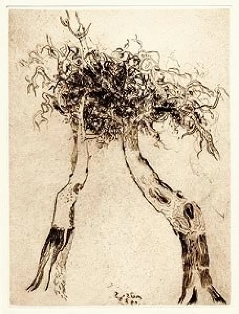 Etching And Aquatint Music - Motif vegetal