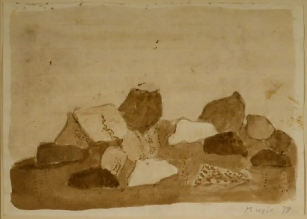 No Technical Music - Paysage Dalmate - Rocheux