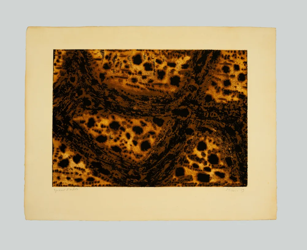 Etching Music - Terre dalmate