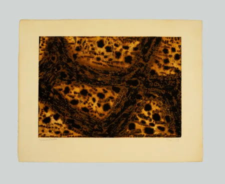 Etching Music - Terre dalmate