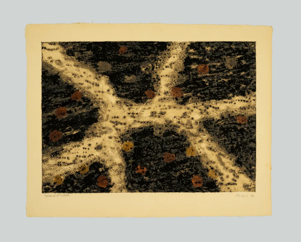 Etching And Aquatint Music - Terre dalmate