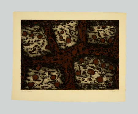 Etching And Aquatint Music - Terre dalmate