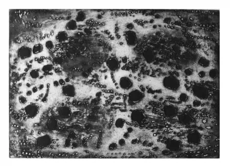 Etching Music - Terre d'Istrie