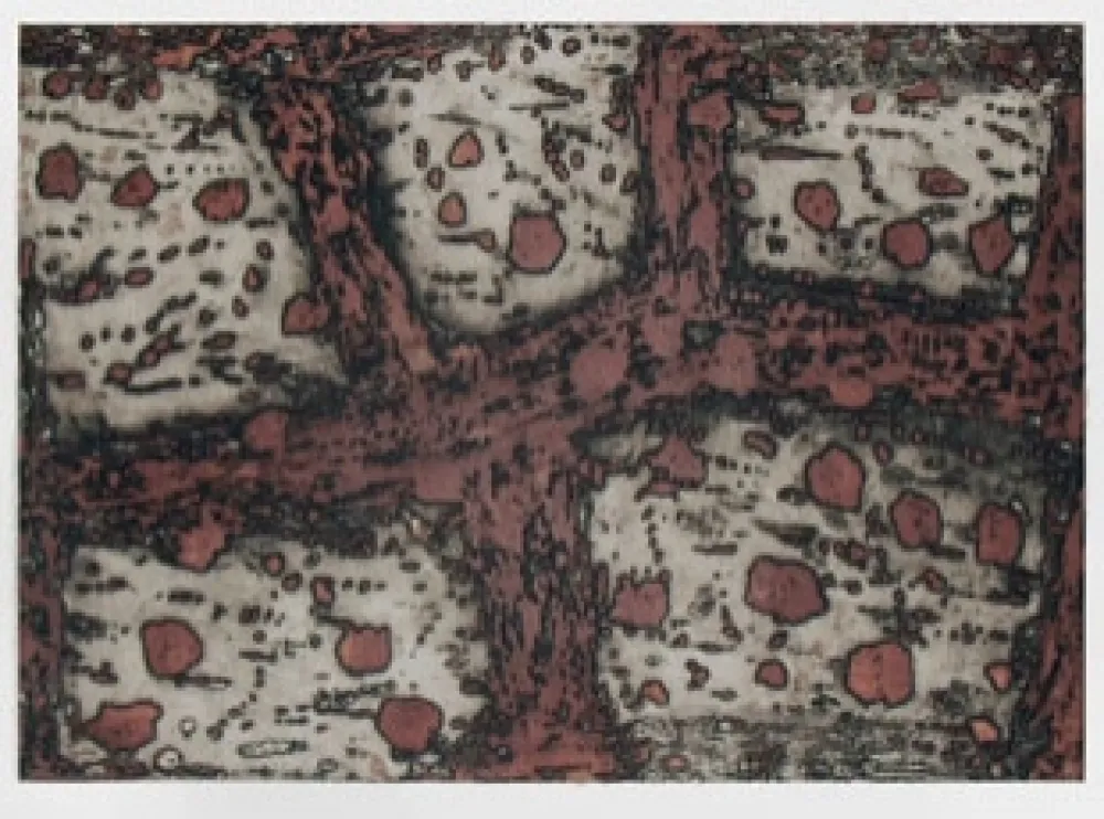 Etching Music - Terre d'Istrie