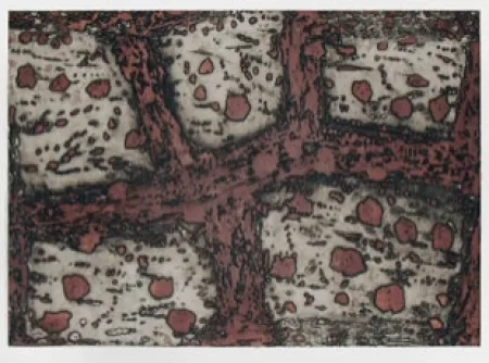 Etching Music - Terre d'Istrie