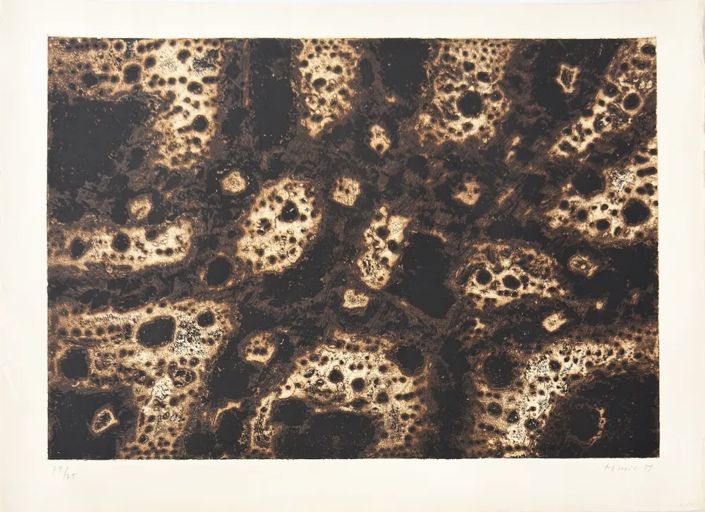 Etching Music - Terres dalmates