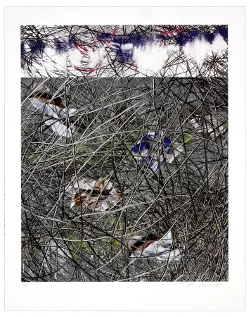 Lithograph Myrvold - Winter Clouds II