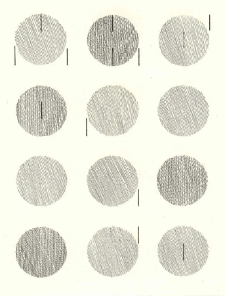 Illustrated Book Nangeroni - Sei poesie per un romanzo