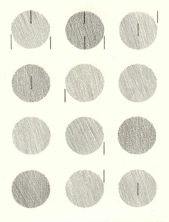 Illustrated Book Nangeroni - Sei poesie per un romanzo