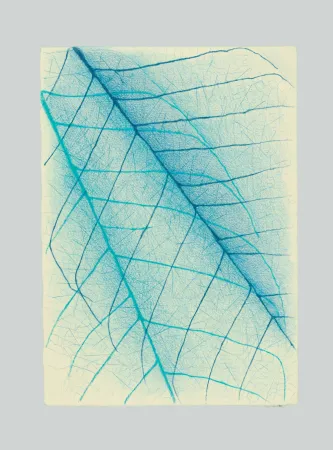 No Technical Napoleone - Essenze, assenze