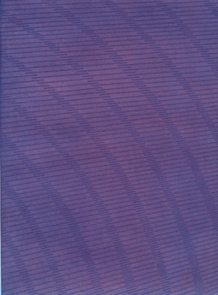 Illustrated Book Napoleone - Rimanenze