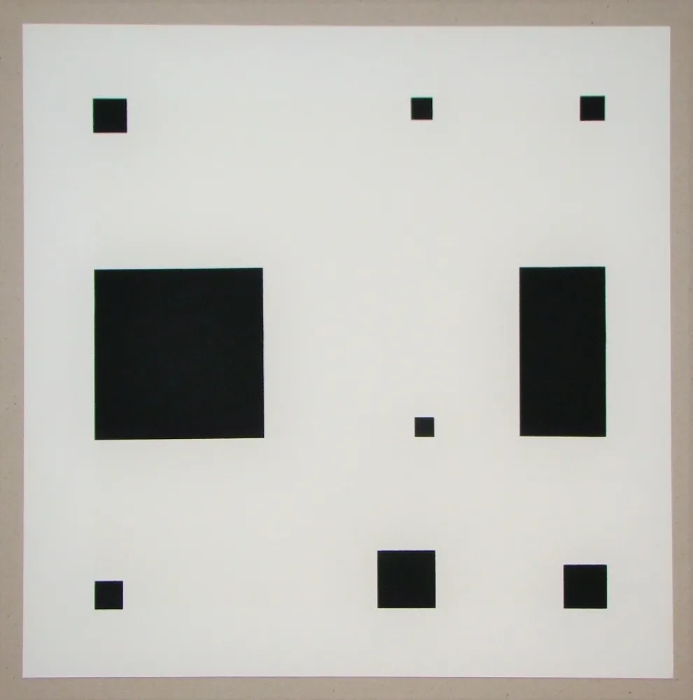 Screenprint Nemours - Noir demi rose II