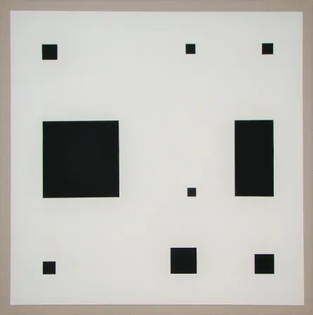 Screenprint Nemours - Noir demi rose II