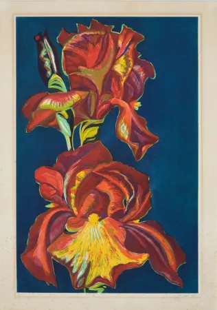 Aquatint Nesbitt - Iris