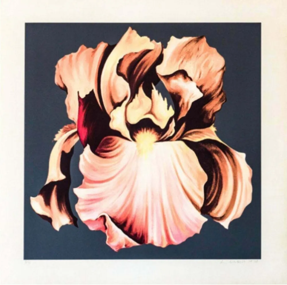 Screenprint Nesbitt - Iris